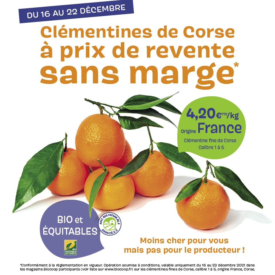 Des fêtes vitaminées en douceur ! Des fêtes vitaminées en douceur !
