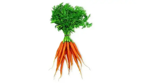Menu accessible MERCREDI - Carottes au cumin et courge