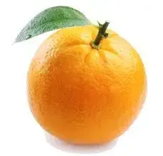 Menu accessible MERCREDI - salade d’oranges